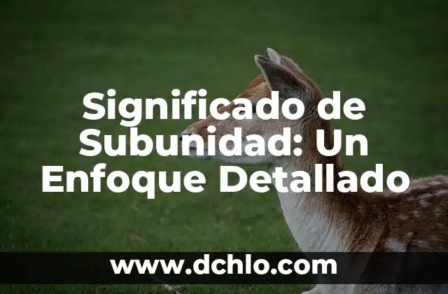 Significado Directo de las Palabras 7 Significado de Subunidad: Un Enfoque Detallado