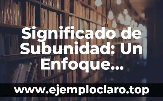 Significado de Subunidad: Un Enfoque Detallado