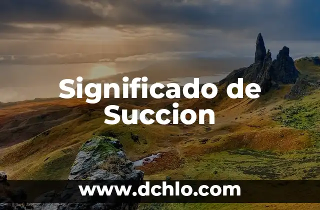 El Significado de Subyacente: Guía Completa y Detallada 6 Significado de Succion