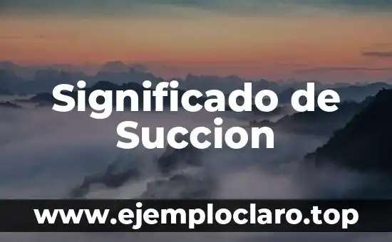 Significado de Succion