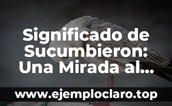 Significado de Sucumbieron: Una Mirada al Pasado y al Presente