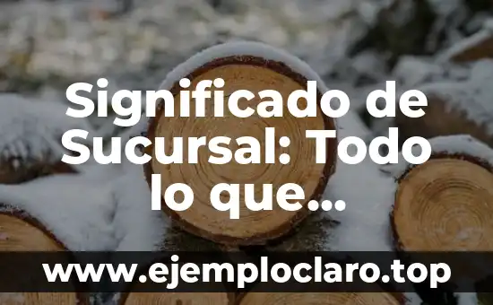 Significado de Sucursal: Todo lo que Necesitas Saber