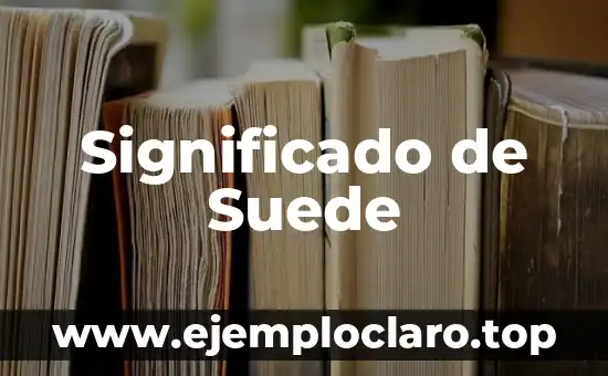 El significado de la interculturalidad 7 Significado de Suede