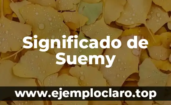 El significado de la interculturalidad 8 Significado de Suemy