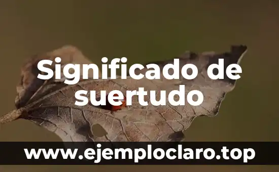 Significado de suertudo