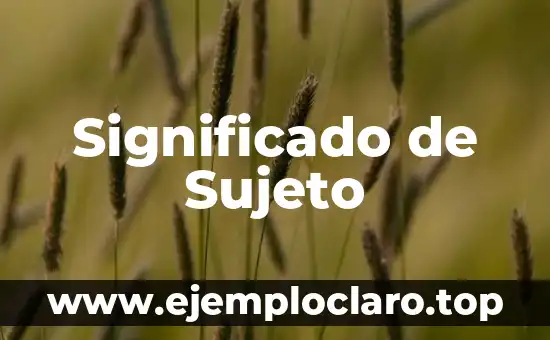 Significado de Sujeto