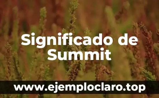 Significado de Summit