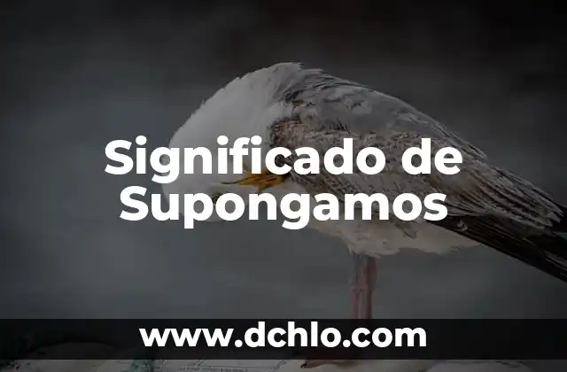 El Significado del Dragón Chino de Fuego 3 Significado de Supongamos