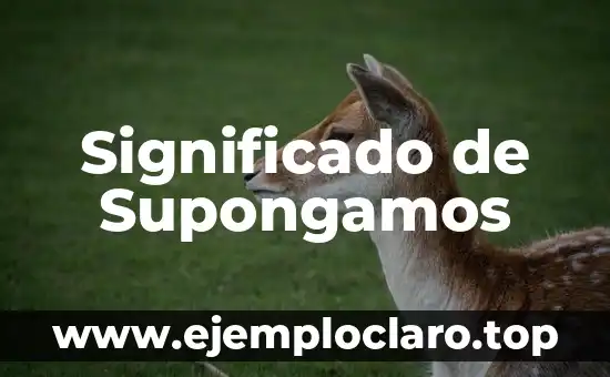 Significado de Supongamos