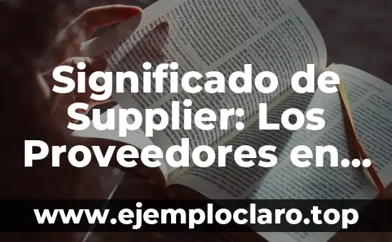 Significado de Supplier: Los Proveedores en la Cadena de Suministros