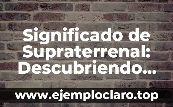 Significado dos Símbolos de Lavagem 8 Significado de Supraterrenal: Descubriendo lo que está más allá de lo terrenal