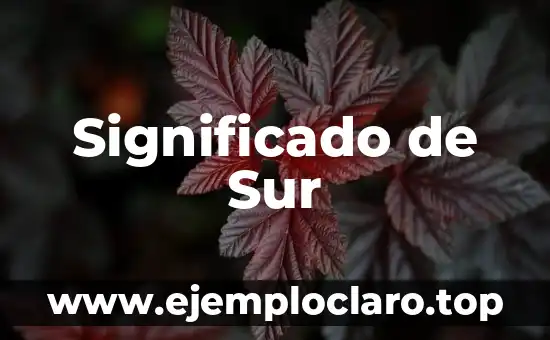 Significado de Sur