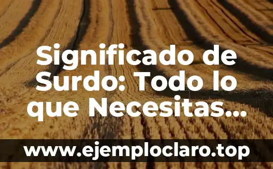 Significado de Surdo: Todo lo que Necesitas Saber