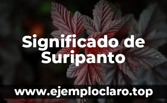 Significado de Suripanto