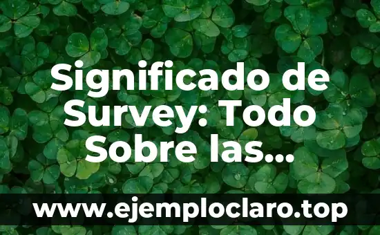 Significado de Survey: Todo Sobre las Encuestas