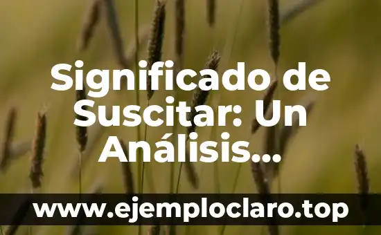 Significado de Suscitar: Un Análisis Profundo