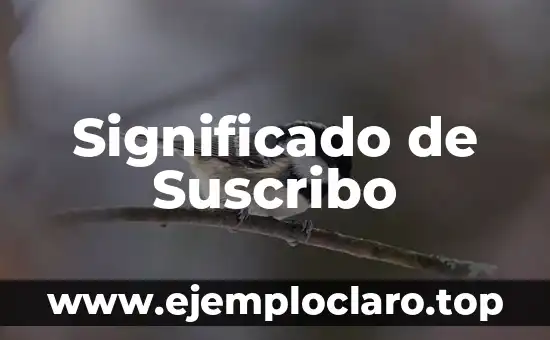 Significado de Suscribo