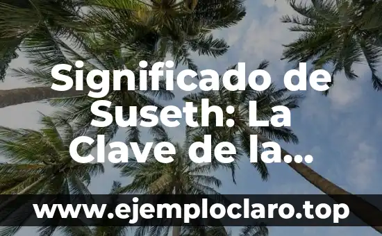 Significado de Suseth: La Clave de la Sostenibilidad