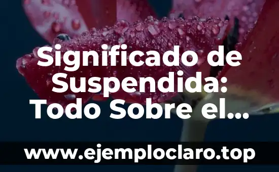 Significado de Suspendida: Todo Sobre el Concepto de Suspendida