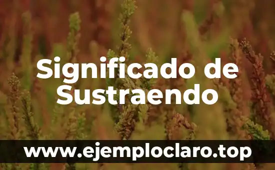 Significado de Sustraendo