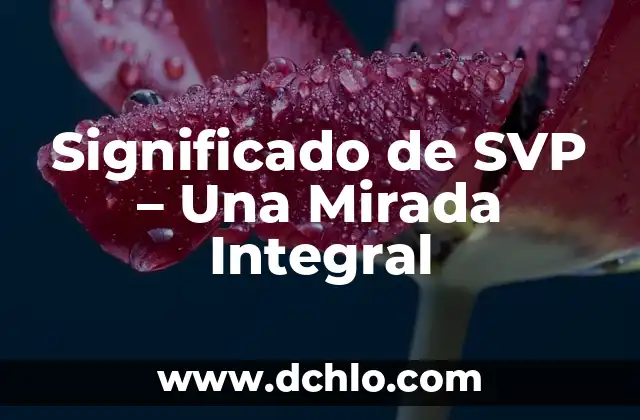 Significado e Imágenes de Huitzuco: Un Viaje por Guerrero 6 Significado de SVP – Una Mirada Integral