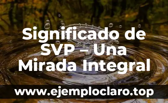 Significado de SVP - Una Mirada Integral