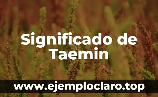 Significado de SVB: Todo lo que debes saber 4 Significado de Taemin
