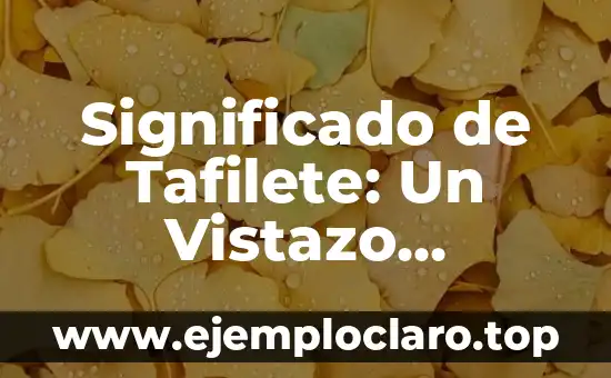 Significado de Tafilete: Un Vistazo Histórico