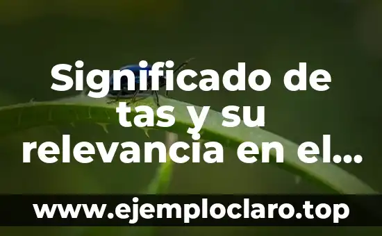 Significado de tas y su relevancia en el lenguaje