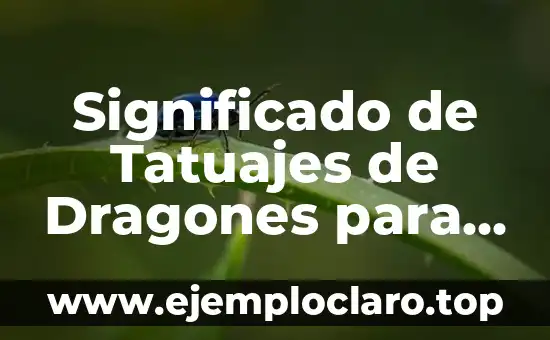 Significado de Tatuajes de Dragones para Mujeres