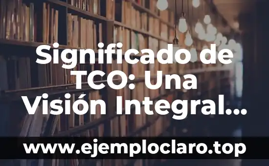 Significado de TCO: Una Visión Integral de los Costos