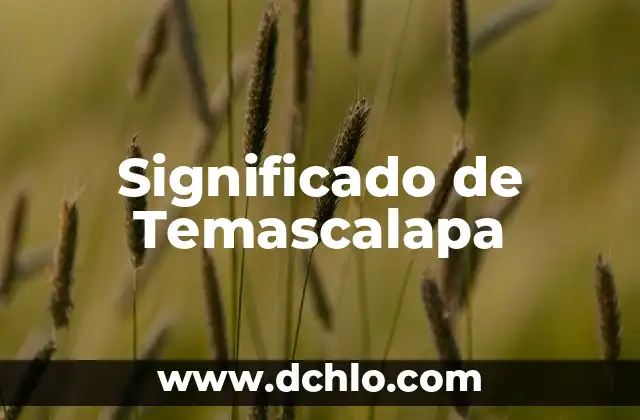 Significado del Valor de Gentileza 5 Significado de Temascalapa