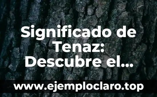 Significado de Stretching: Descubre el Poder del Estiramiento 8 Significado de Tenaz: Descubre el Poder de la Perseverancia