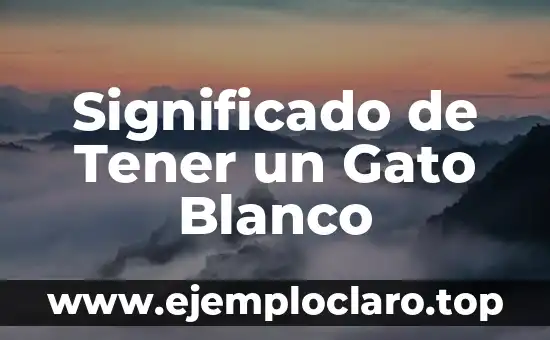 Significado de Tener un Gato Blanco