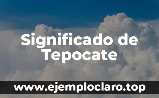 Significado de Tepocate