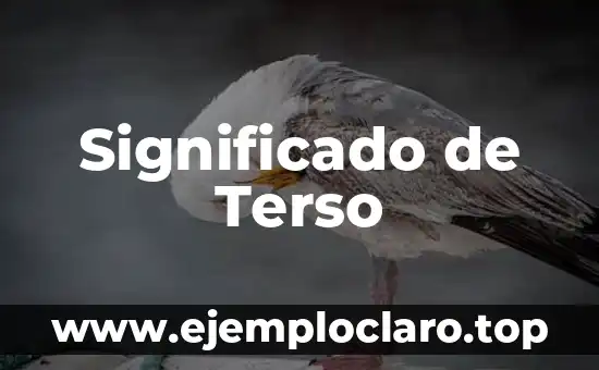 Significado de Terso