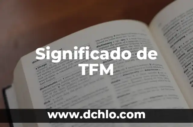 Significado del Valor de Integración 7 Significado de TFM