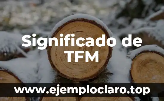 Significado de TFM