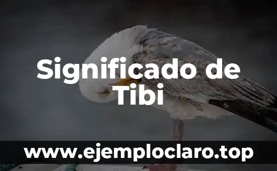 Significado de Tibi