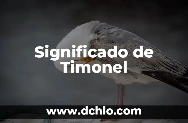 Significado del Árbolito de Navidad: Un Símbolo Navideño 8 Significado de Timonel