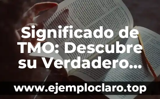 Instrumentos Musicales: Descubre el Significado de Cada Uno 5 Significado de TMO: Descubre su Verdadero Propósito