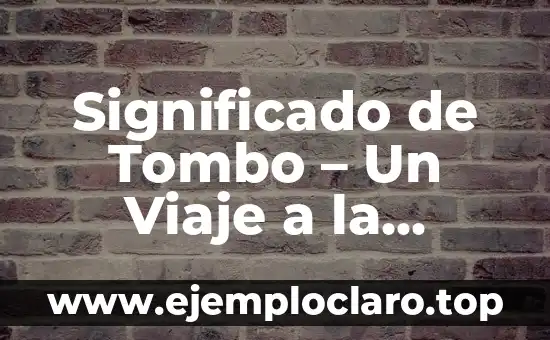 Significado de Tombo - Un Viaje a la Historia y la Cultura