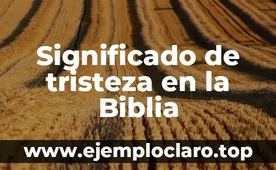 Nombres con significado de tristeza: Una guía detallada 7 Significado de tristeza en la Biblia