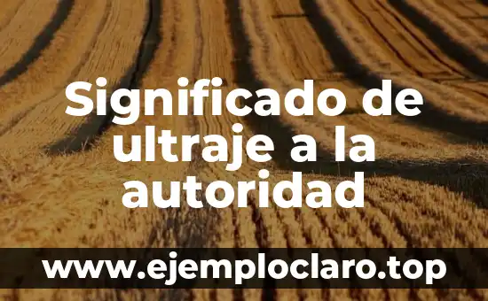 Significado de ultraje a la autoridad