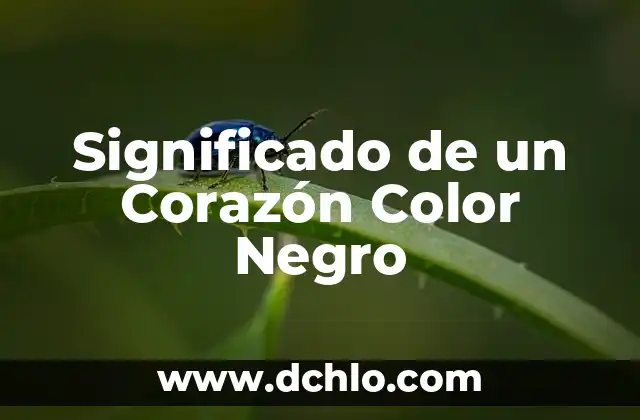 Los Mexicas: Un Viaje al Corazón de Mesoamérica 5 Significado de un Corazón Color Negro