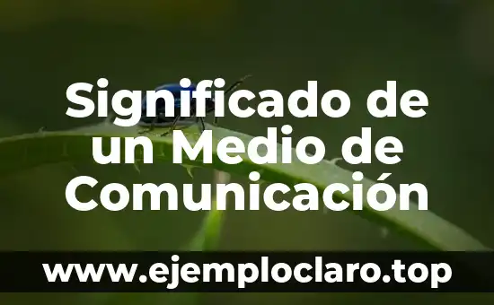 Significado de Divisar y sus Aplicaciones Prácticas 4 Significado de un Medio de Comunicación