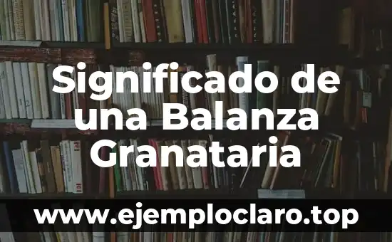 Balanza de Pagos: Definición y Explicación Detallada 7 Significado de una Balanza Granataria