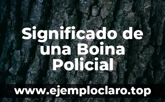 Significado de una Boina Policial