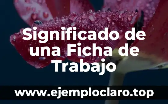 Significado de una Ficha de Trabajo