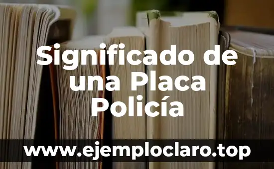 El Significado de Policía Cibernética 7 Significado de una Placa Policía